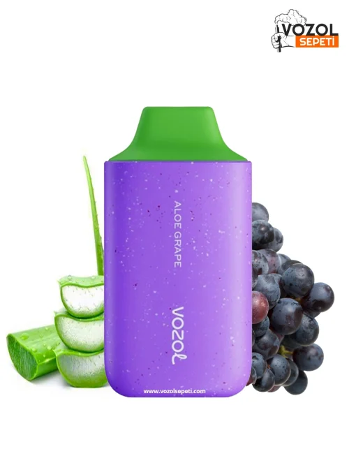 Vozol 6000 Aloe Grape