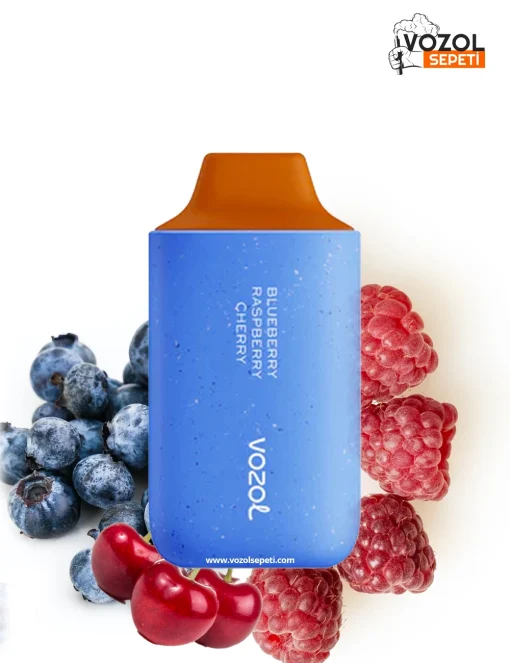 Vozol 6000 Blueberry Raspberry Cherry Puff