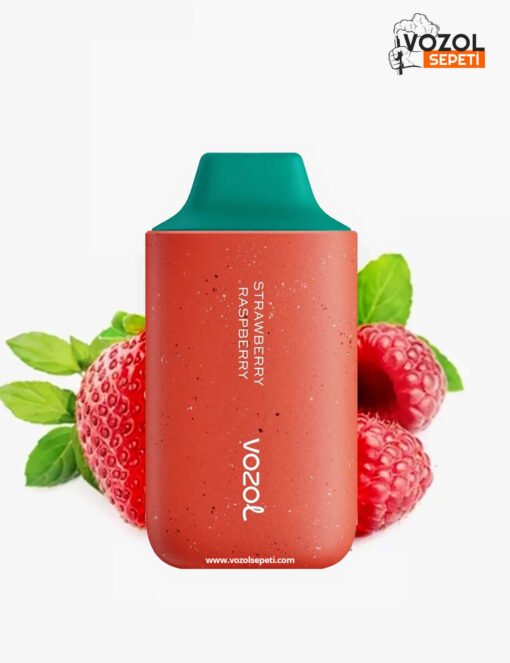 Vozol 6000 Strawberry Raspberry