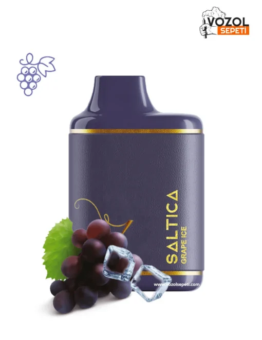 Saltica 6000 Grape ice Puff