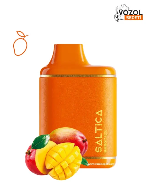 Saltica 6000 Mango ice Puff