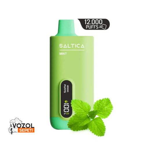 Saltica 12000 Mint Puff