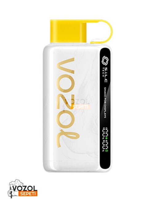 Vozol 12000 Pineapple Coconut ice