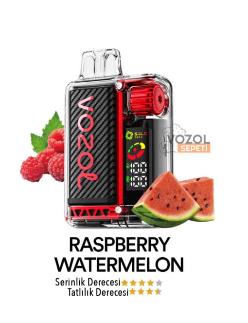 Vozol Vista 20000 Raspberry Watermelon