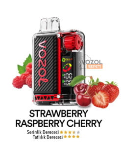 Vozol Vista 20000 Strawberry Raspberry Cherry